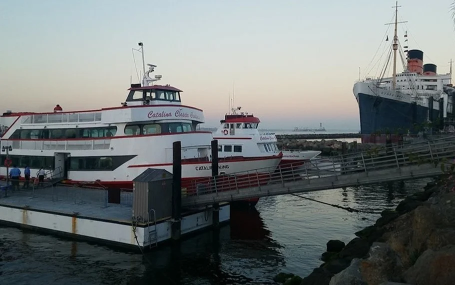 Catalina King – Long Beach