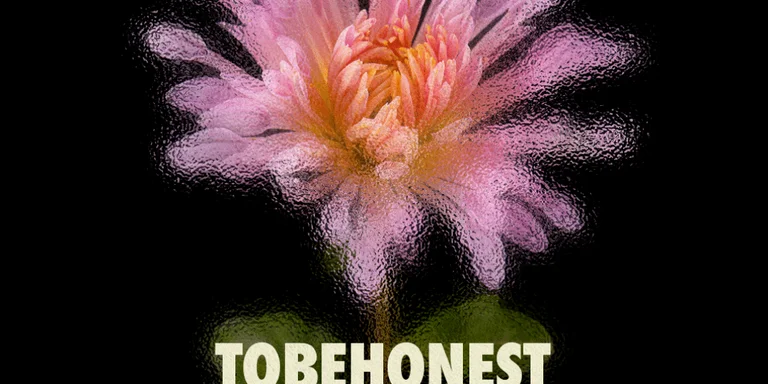 Night Trip: ToBeHonest, Gabss ...