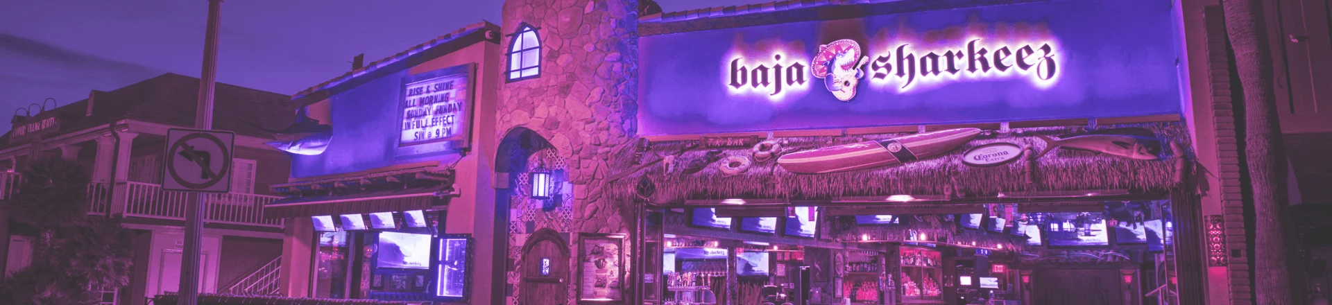 Baja Sharkeez