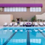 The Pool At Harrah’s