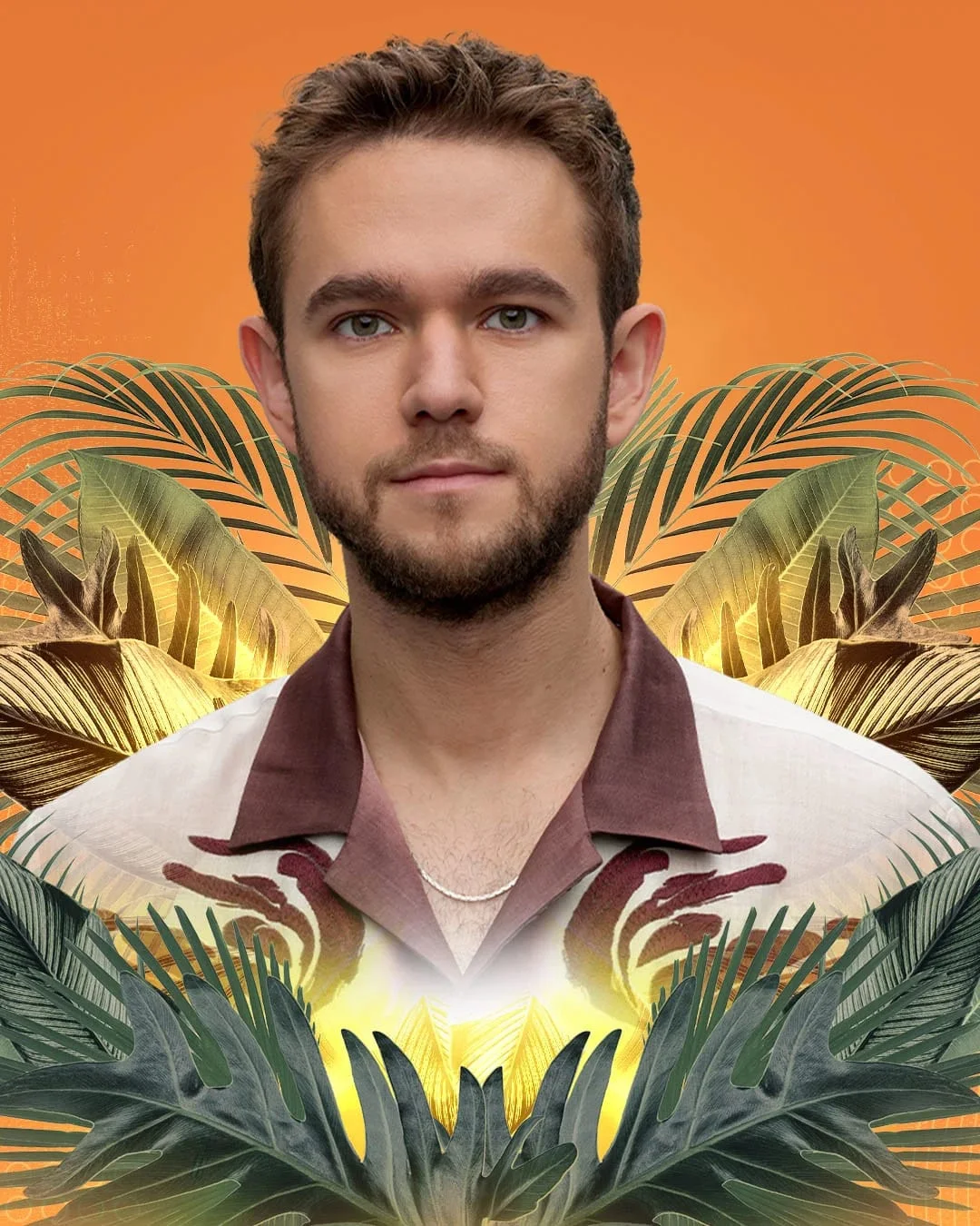 Zedd