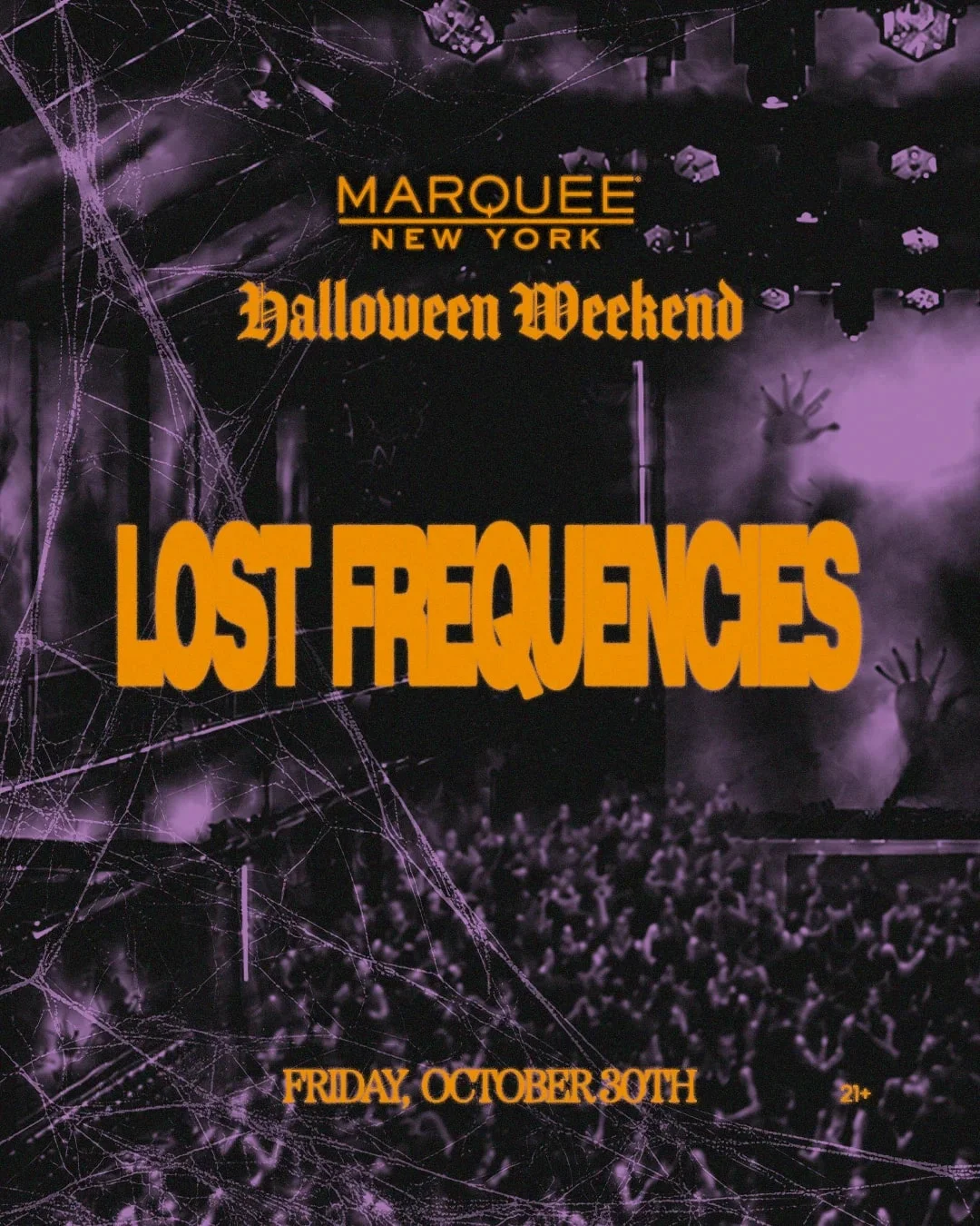 Lost Frequencies