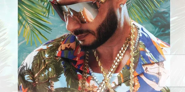 DJ Pauly D